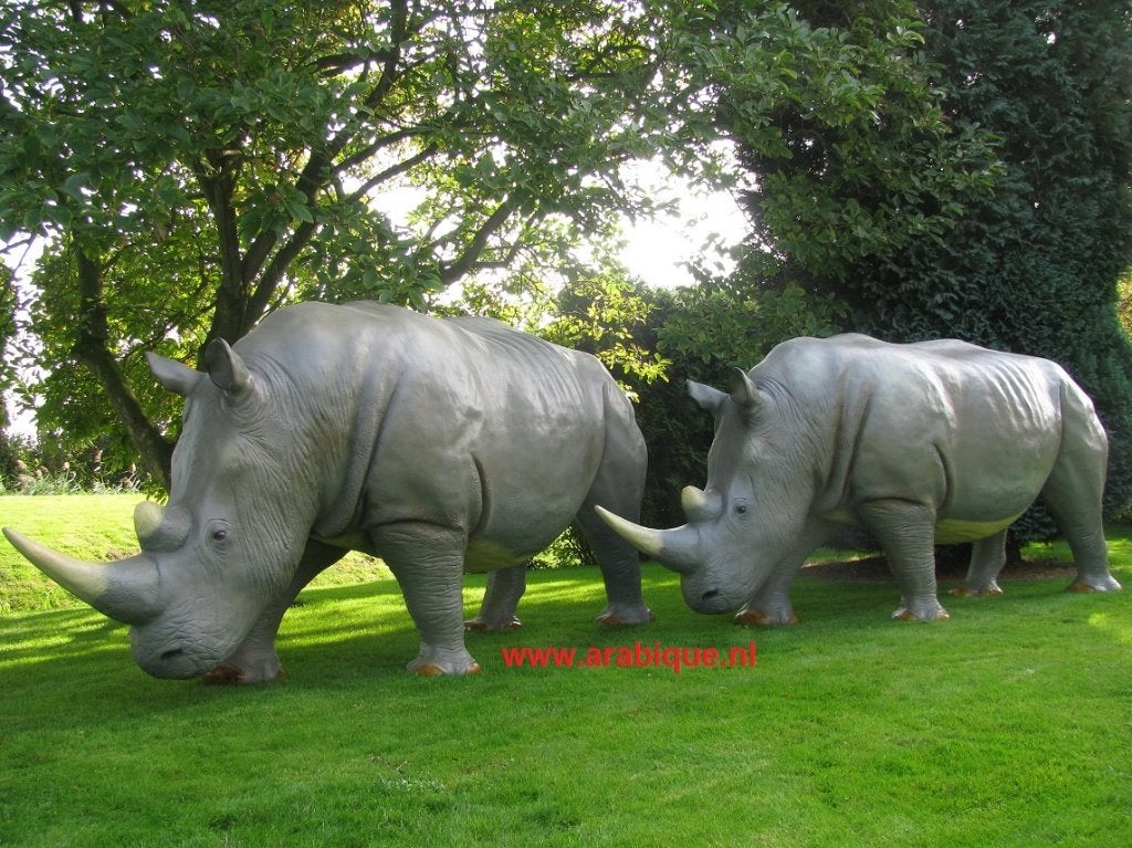 Neushoorn ware groot ., Ophalen of Verzenden, Nieuw