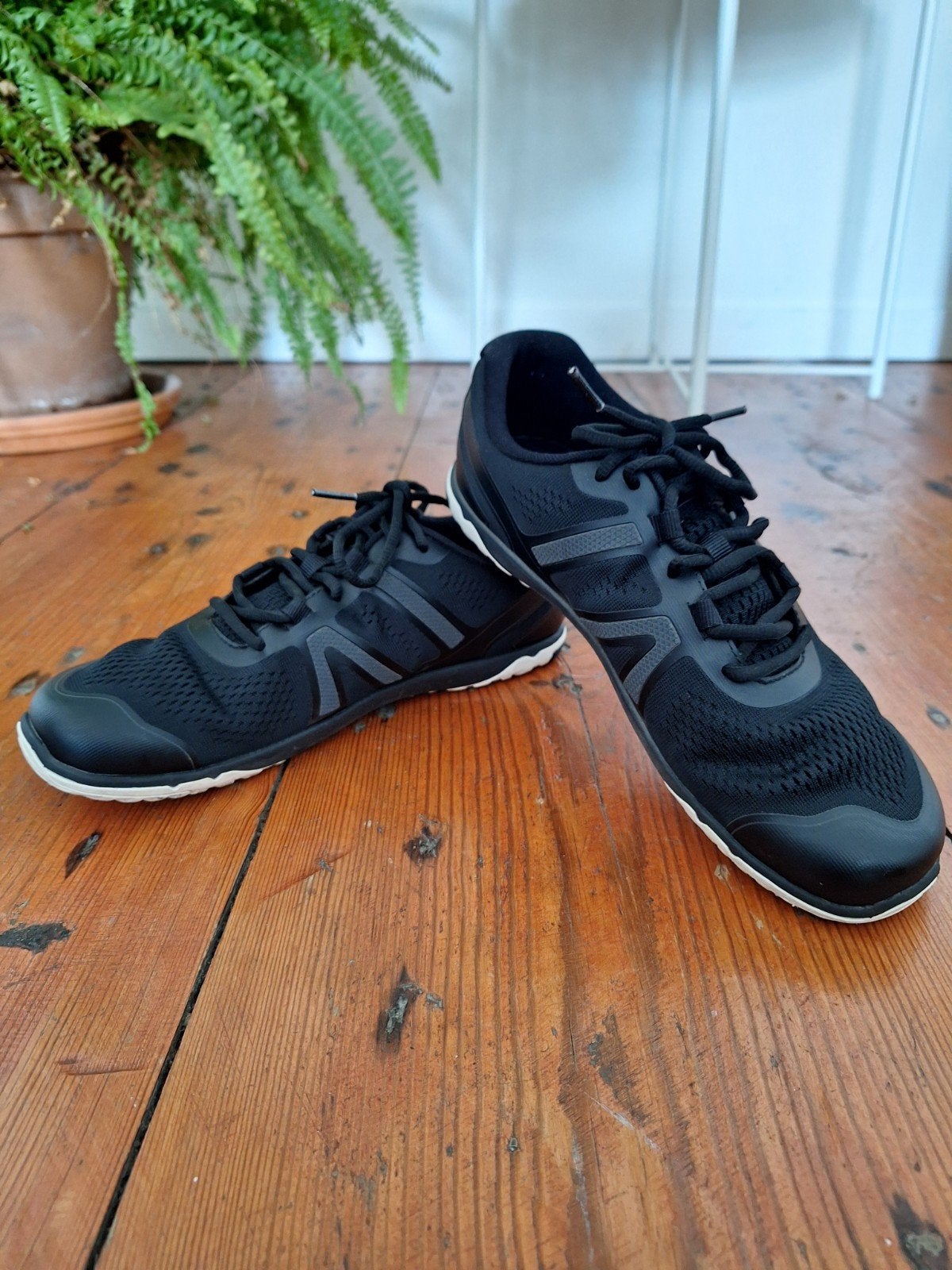 Xeroshoes HFS II Dames Barefoot Schoenen Maat 39 Zwart, Kleding | Dames, Schoenen, Zwart, Ophalen of Verzenden, Xeroshoes, Sneakers of Gympen