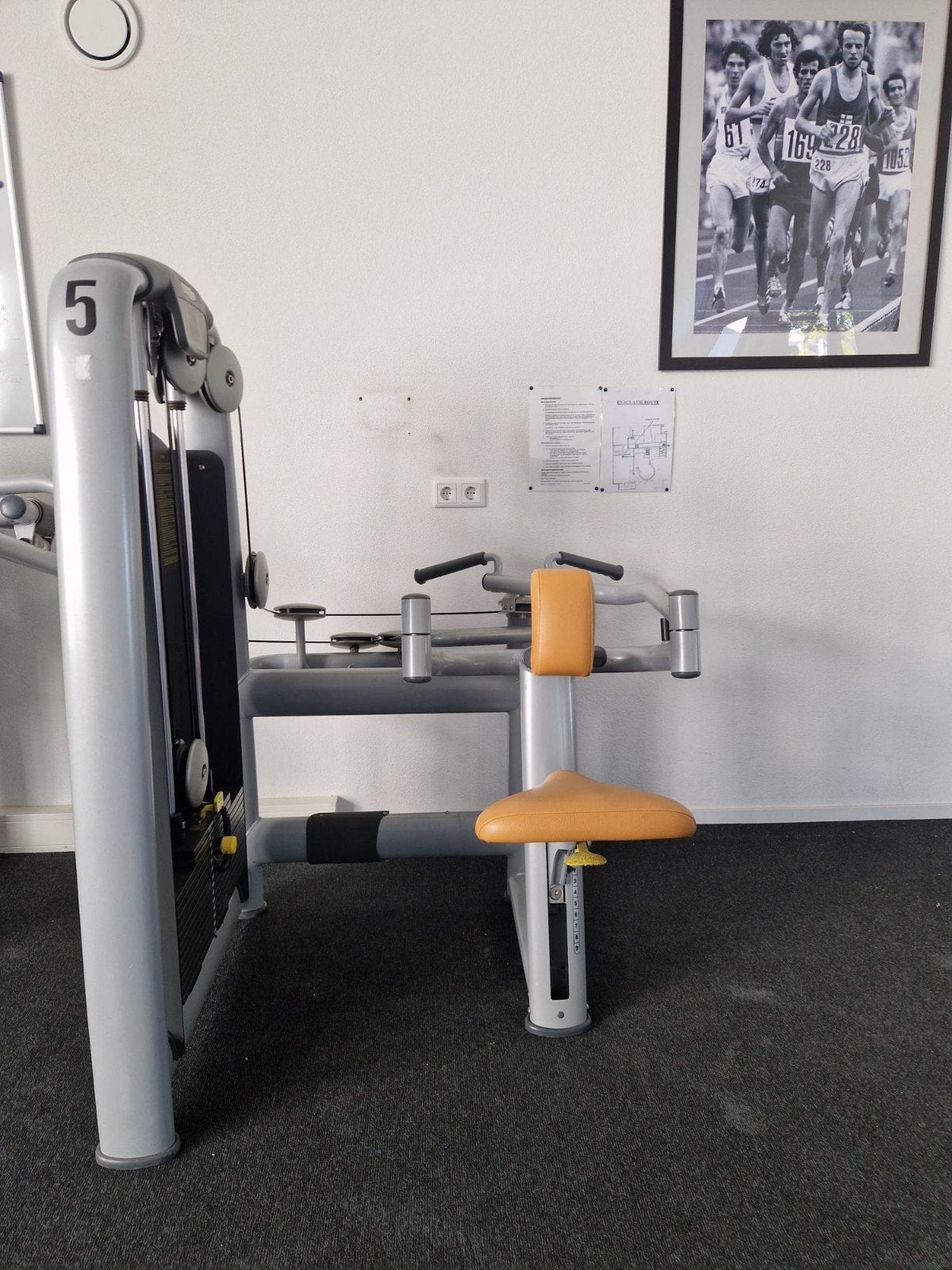 Technogym Lower Back, Ophalen, Gebruikt, Rug, Krachtstation