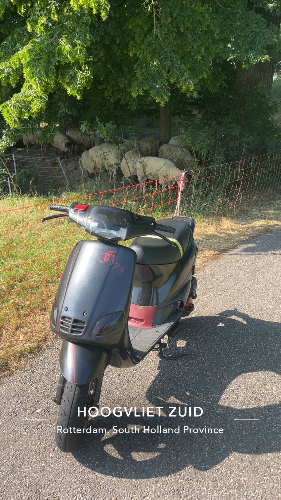 Zip type 2 tekoop/ teruil, Fietsen en Brommers, Scooters | Piaggio, Ophalen, Zo goed als nieuw, Benzine, Zip