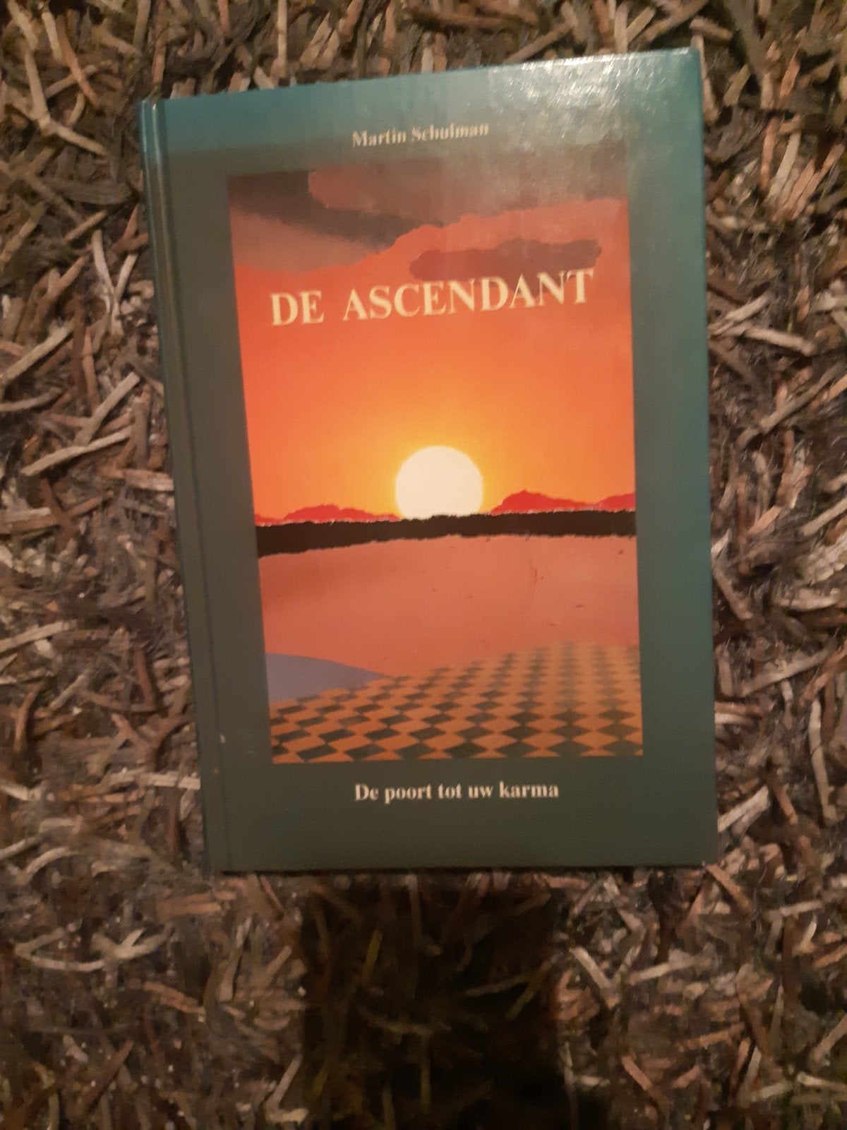 De ascendant, Boeken, Ophalen of Verzenden, Zo goed als nieuw, Astrologie