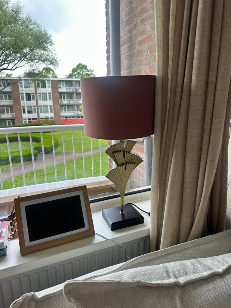 Mooie lamp, Ophalen, Zo goed als nieuw, Minder dan 50 cm