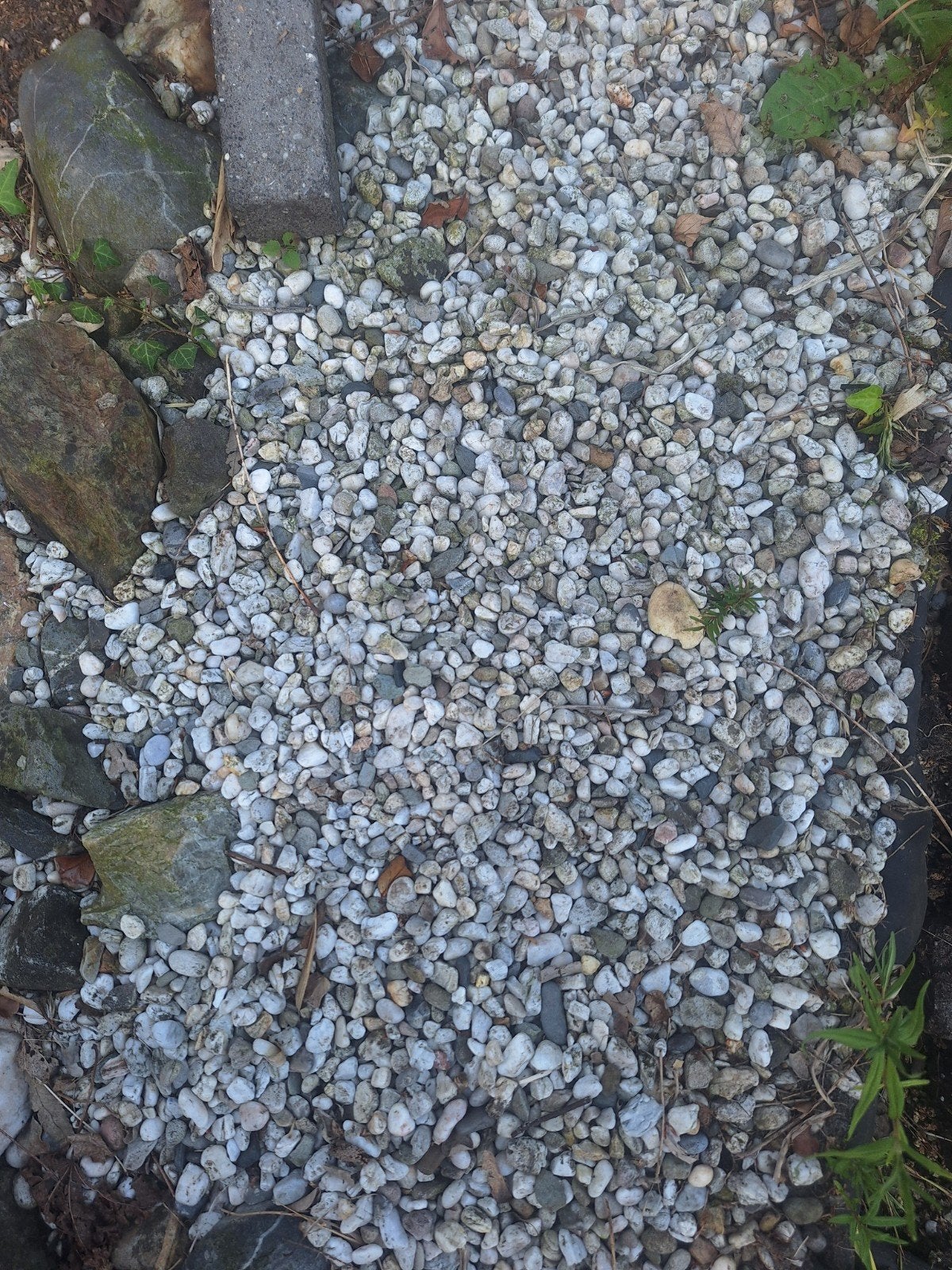 Grind / split voor tuin of pad, Tuin en Terras, Grind, Keien en Split, Overige materialen, Gebruikt, Ophalen of Verzenden, Grind