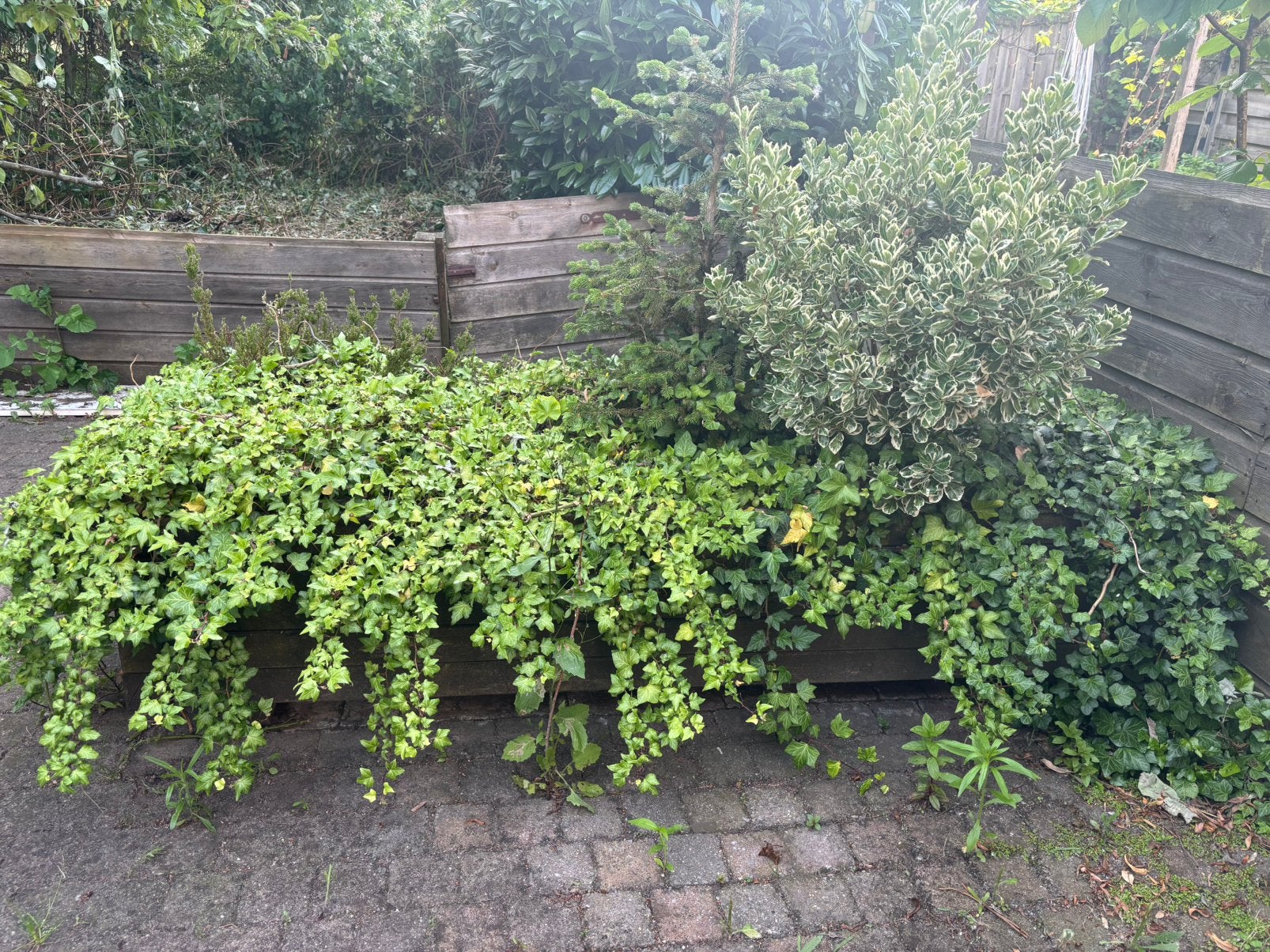 Plantenbak, Ophalen, Minder dan 100 cm