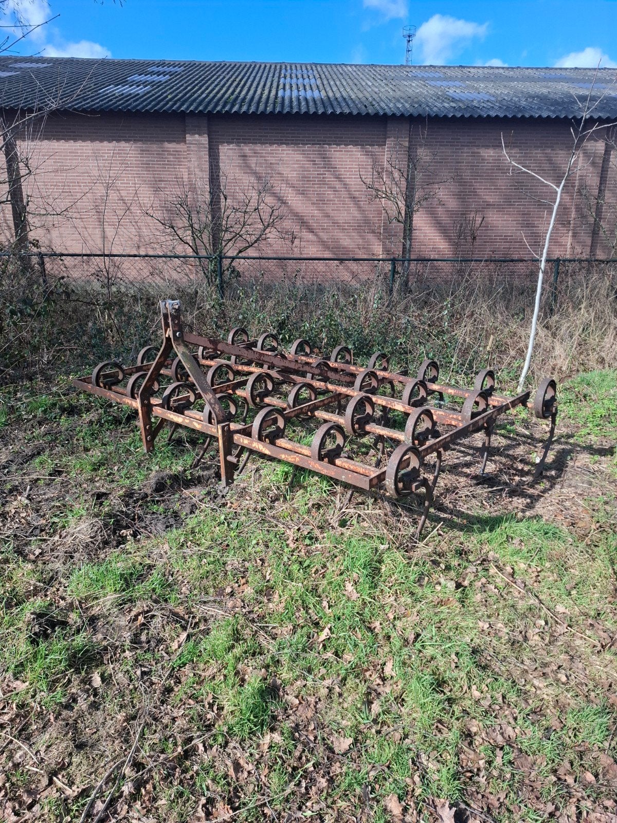Triltand cultivator, Ophalen of Verzenden