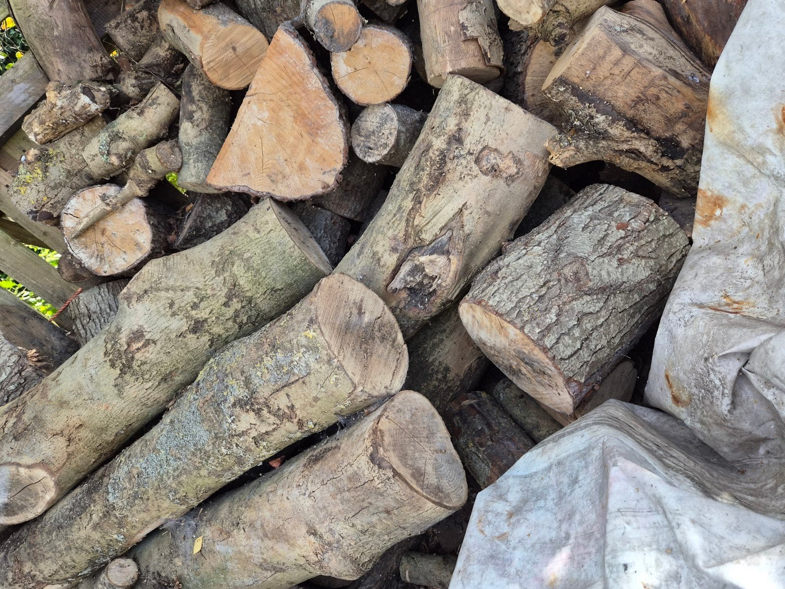 haardhout els en es, 3 tot 6 m³, Ophalen, Overige houtsoorten, Blokken