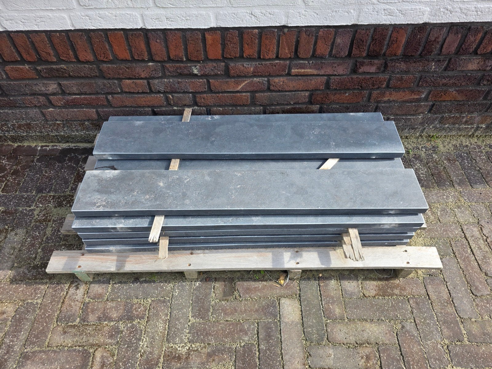 Excluton Siam Bluestone vijverranden gezoet 100x15x3 cm, Tuin en Terras, Ophalen, Nieuw, Natuursteen, Overige typen