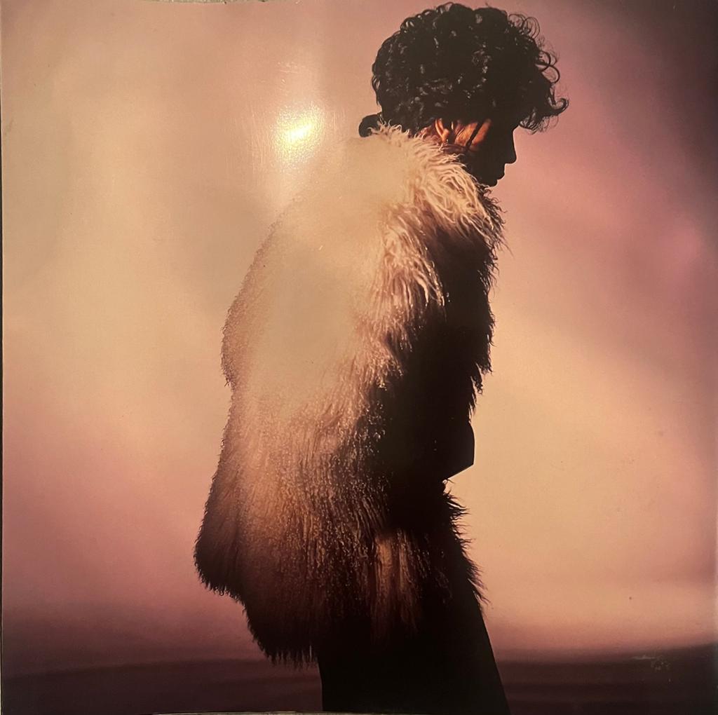 Programmaboek Prince Sign of the Times, Ophalen of Verzenden, 1980 - 1989, Zo goed als nieuw
