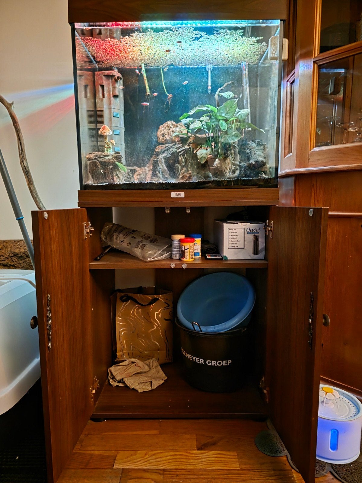 Aquarium met toebehoren, Ophalen, Gebruikt, Aquariummeubel, Inclusief vissen