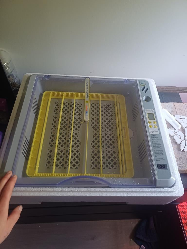 HHD Broedmachine 36 Automatisch, Ophalen, Zo goed als nieuw, Broedmachine