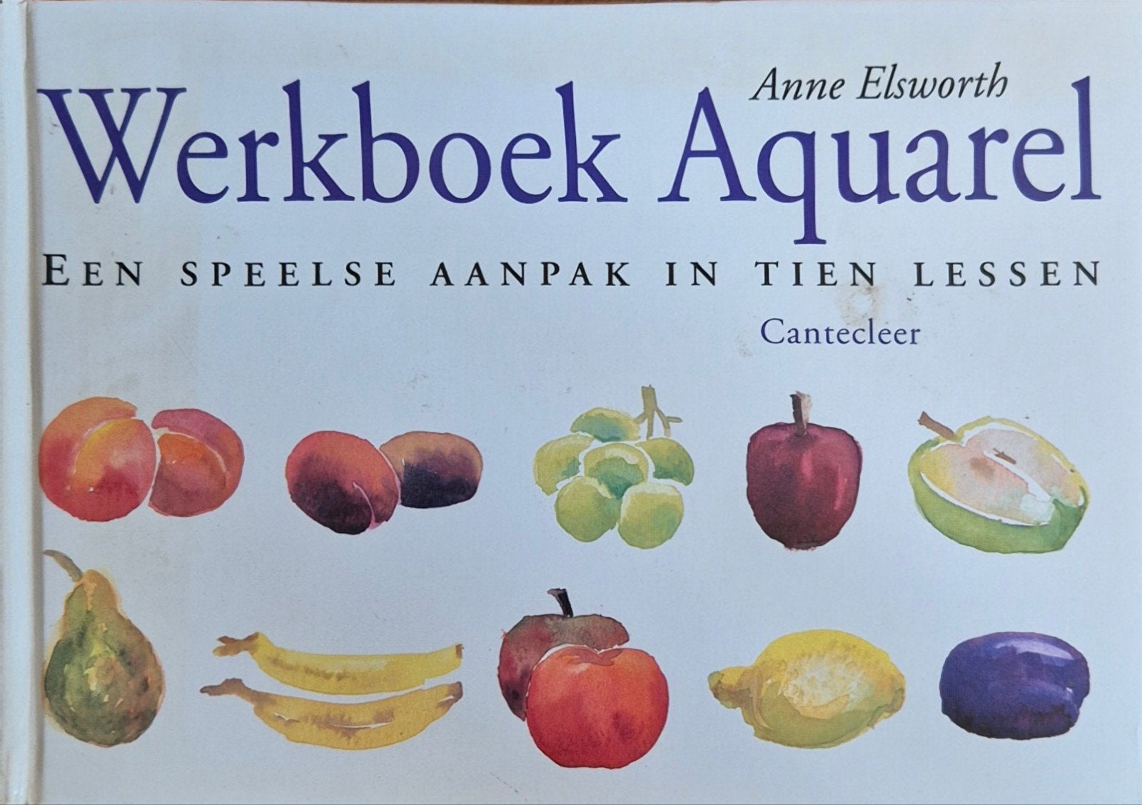 Werkboek Aquarel: Een Speelse Aanpak in Tien Lessen, Hobby en Vrije tijd, Schilderen, Ophalen of Verzenden