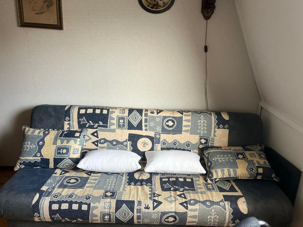 Gratis Comfortabele slaapbank met patroon - 200x80x84 cm, Ophalen, Gebruikt, Tweepersoons, 75 tot 100 cm