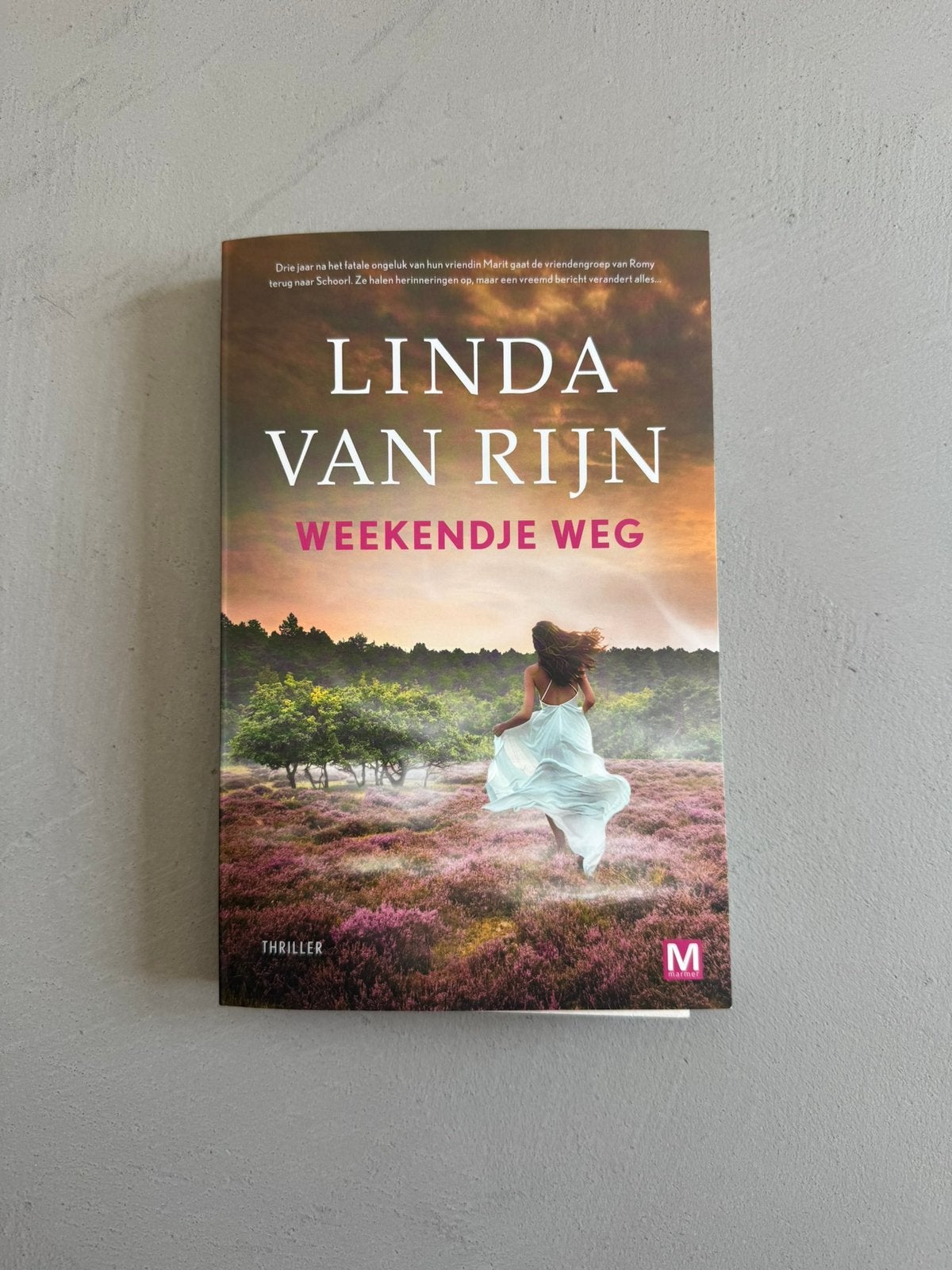 Linda van Rijn - Weekendje weg, Boeken, Thrillers, Ophalen of Verzenden, Zo goed als nieuw