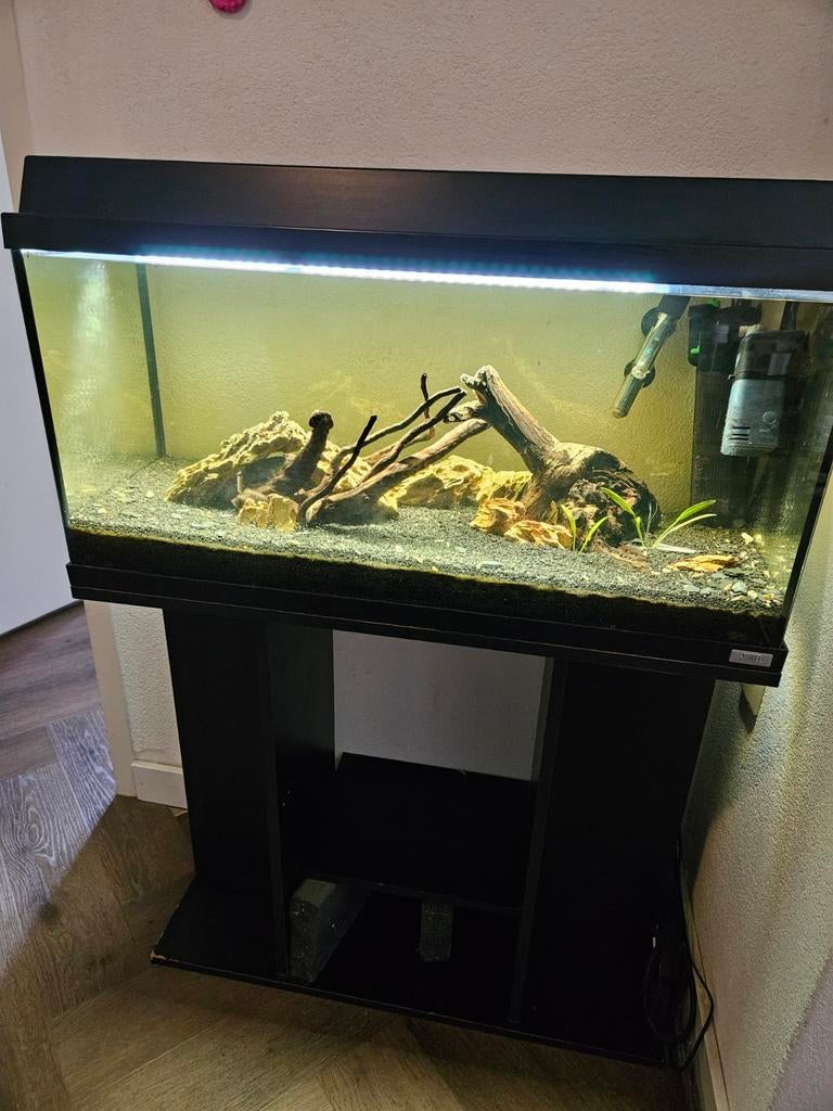 Aquarium, Ophalen, Gebruikt, Overige merken, Gevuld zoetwateraquarium