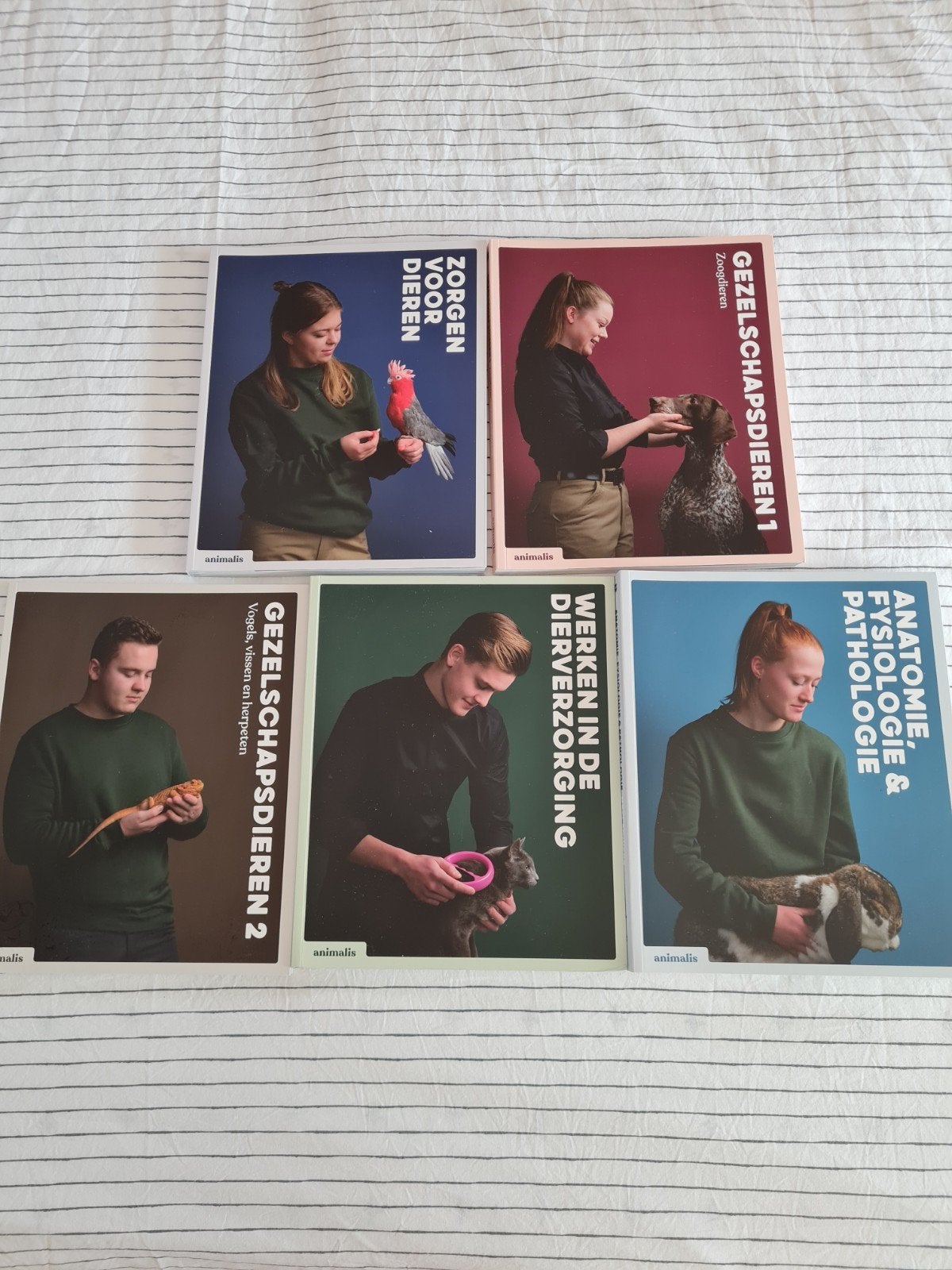 Boekenpakket Opleiding Paraveterinair MBO 4 (Animalis), Boeken, Ophalen of Verzenden, Beta, Zo goed als nieuw, MBO