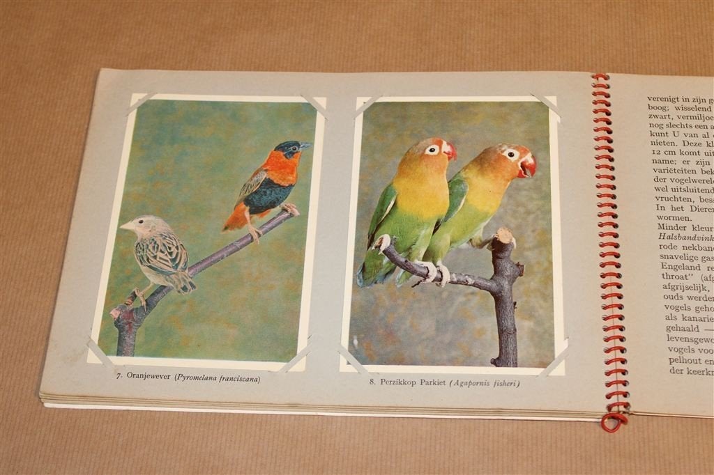 Vogelpracht in Avifauna Dl. 1. Compleet plaatjesalbum., Ophalen of Verzenden, Gelezen