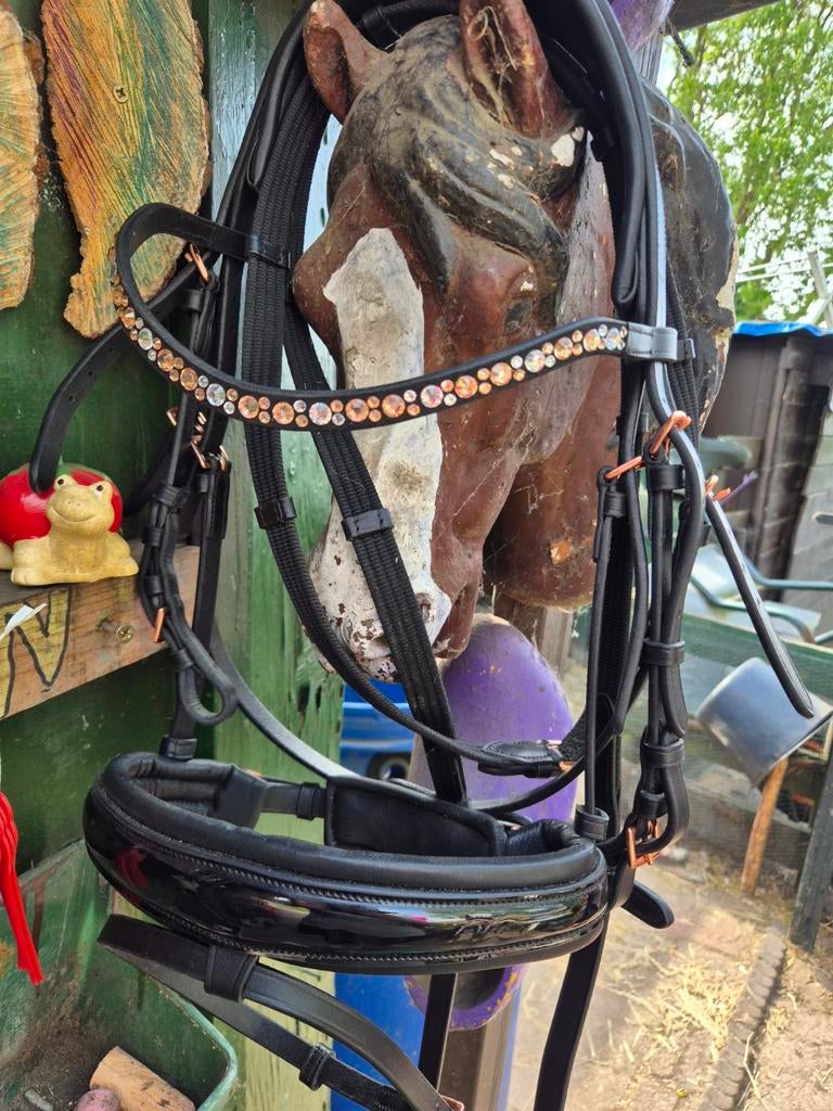 Nieuw hoofdstel, Dieren en Toebehoren, Paarden en Pony's | Hoofdstellen en Tuigage, Ophalen of Verzenden, Nieuw, Dressuur
