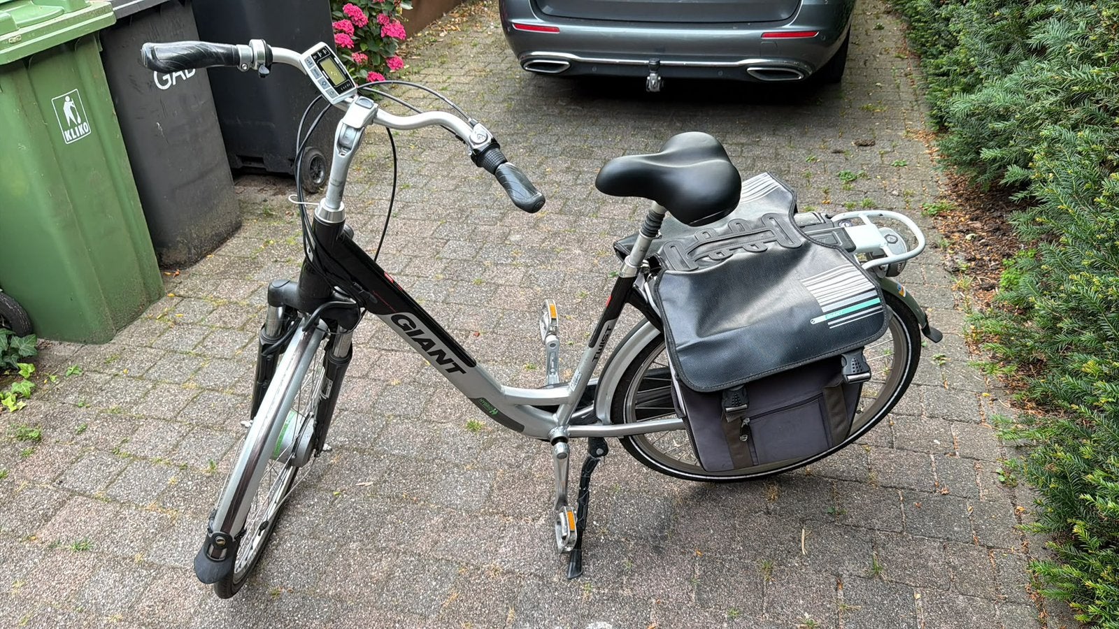 Giant E-bike, 59 cm of meer, Ophalen, Gebruikt, Giant