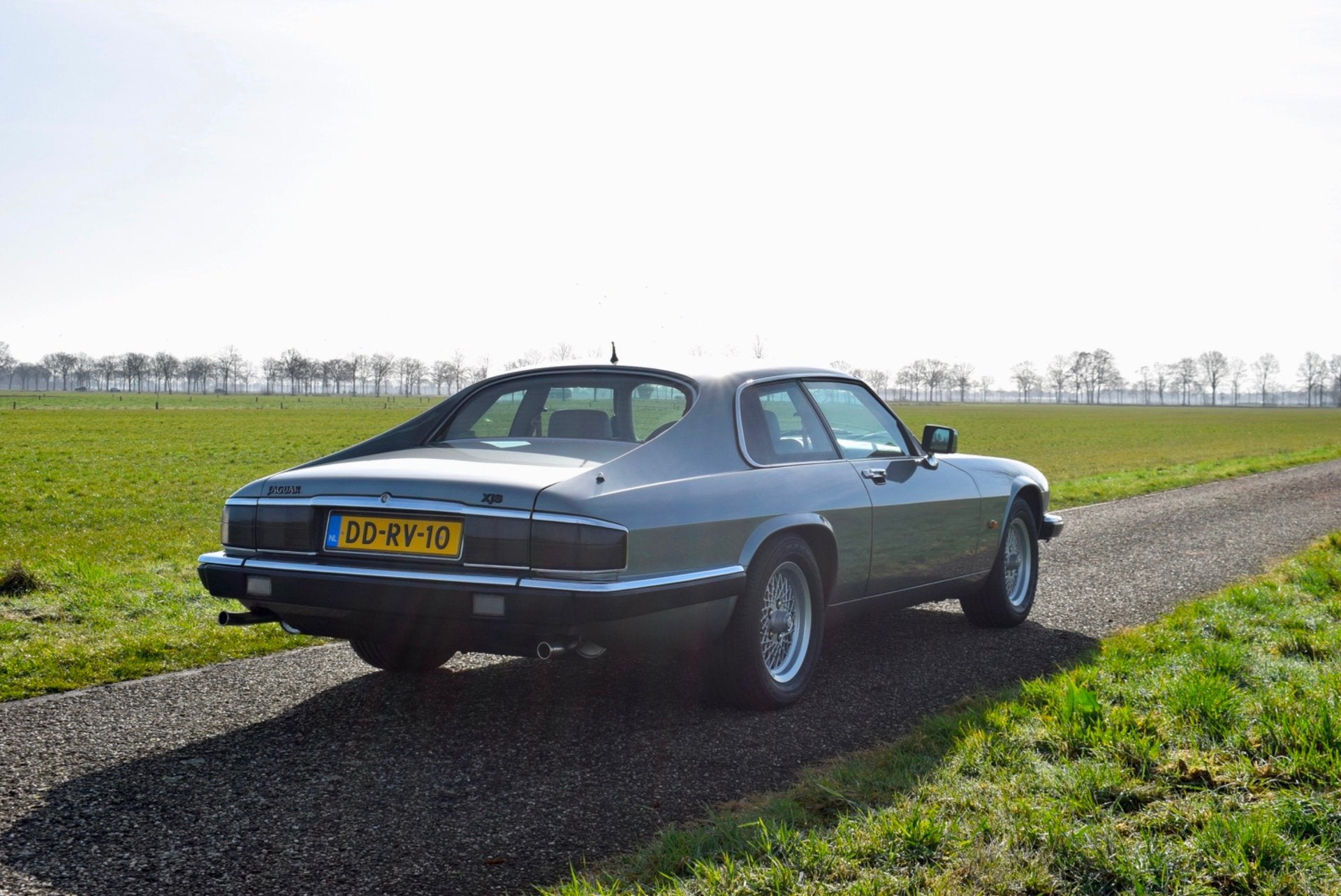 Jaguar XJS 5.3 V12 Coupé EX Ari Olivier, foto 6