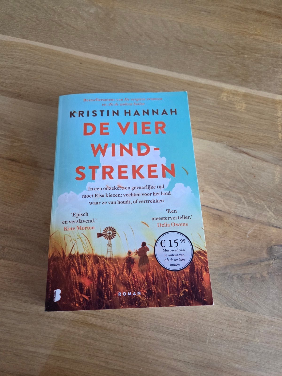 De Vier Windstreken - Kristin Hannah, Ophalen of Verzenden, Zo goed als nieuw, Kristin Hannah