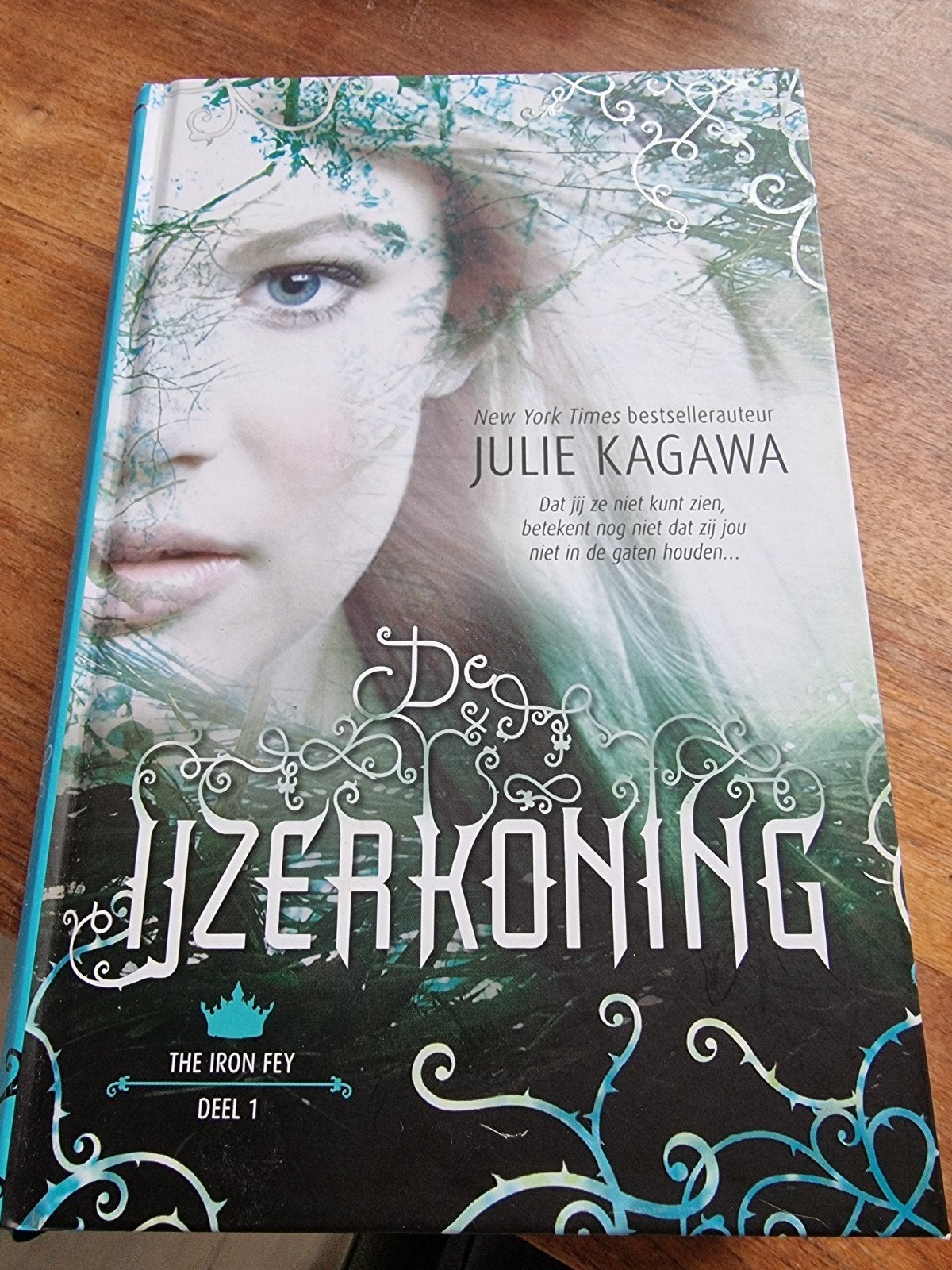 Julie Kagawa - De IJzerkoning, Julie Kagawa, Ophalen of Verzenden, Zo goed als nieuw, Fictie