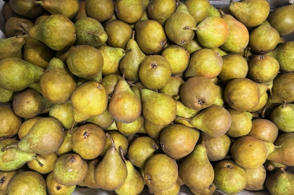 ~7 KG~ Gieser Wildeman stoofperen, Ophalen