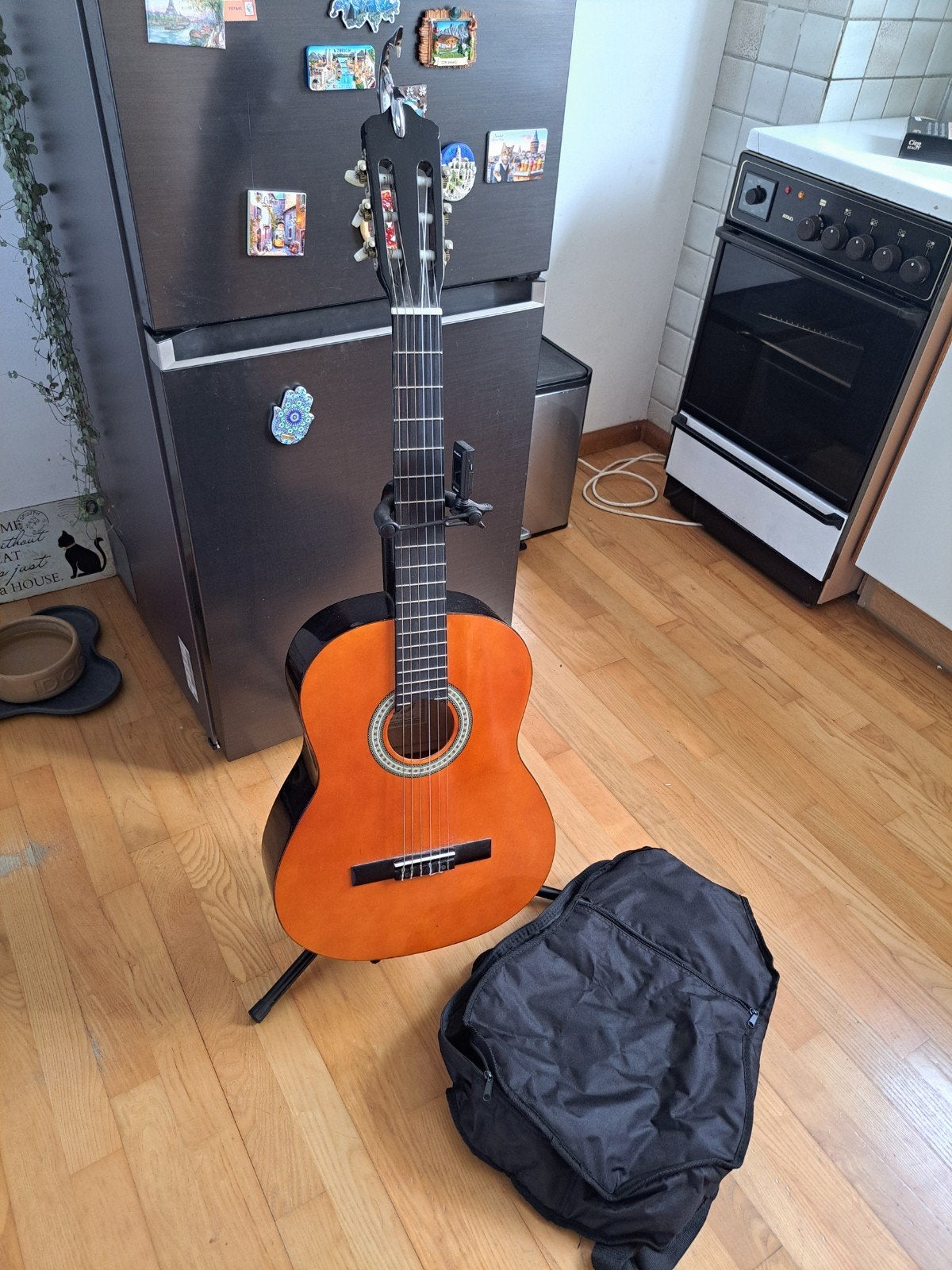 Sheffield gitaar met hoes, capo en standaard, Ophalen, Zo goed als nieuw, Klassieke of Spaanse gitaar, Met koffer