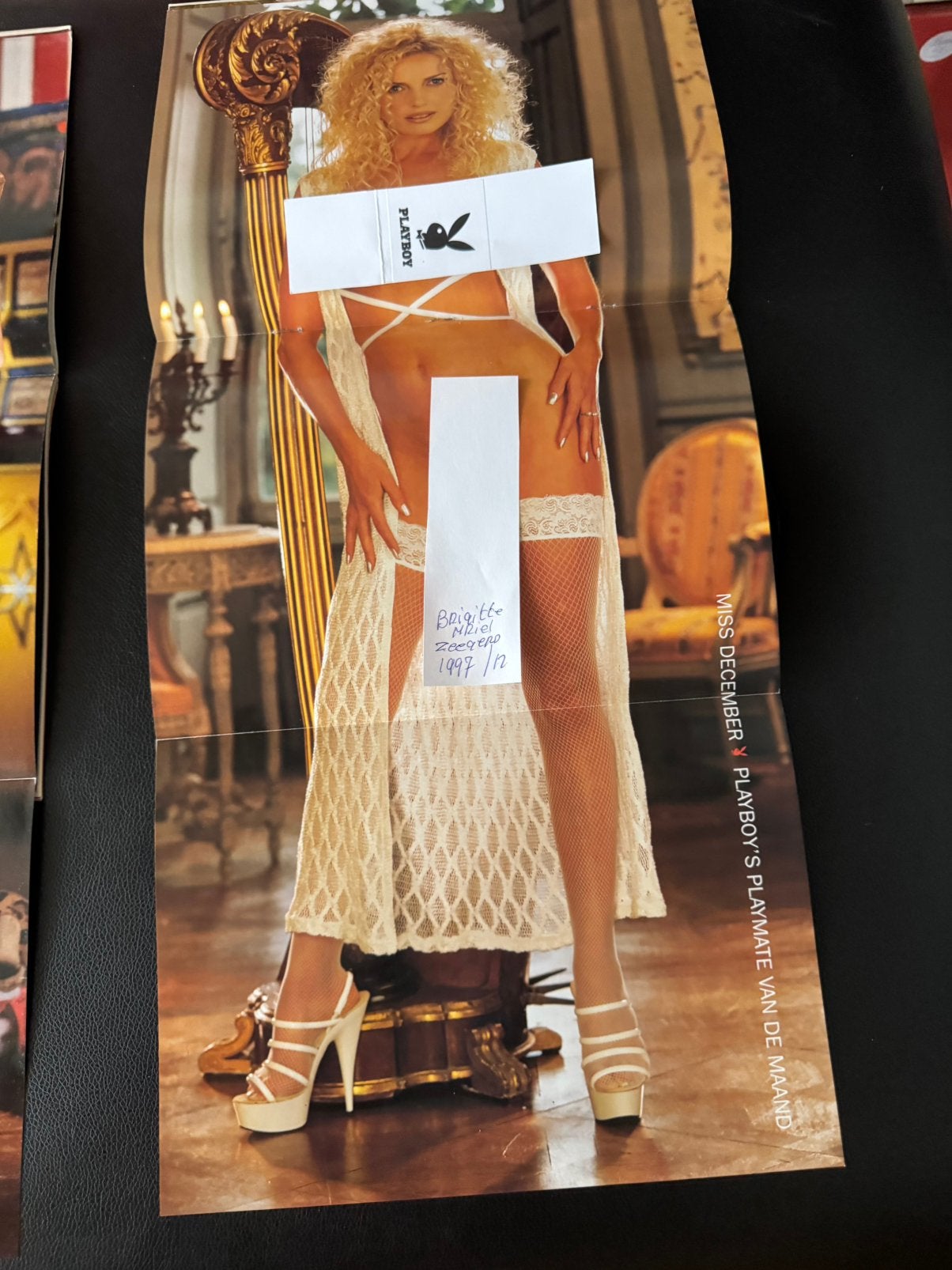 playboy middenposters 6 euro per stuk, Ophalen of Verzenden, 1980 tot heden, Tijdschrift