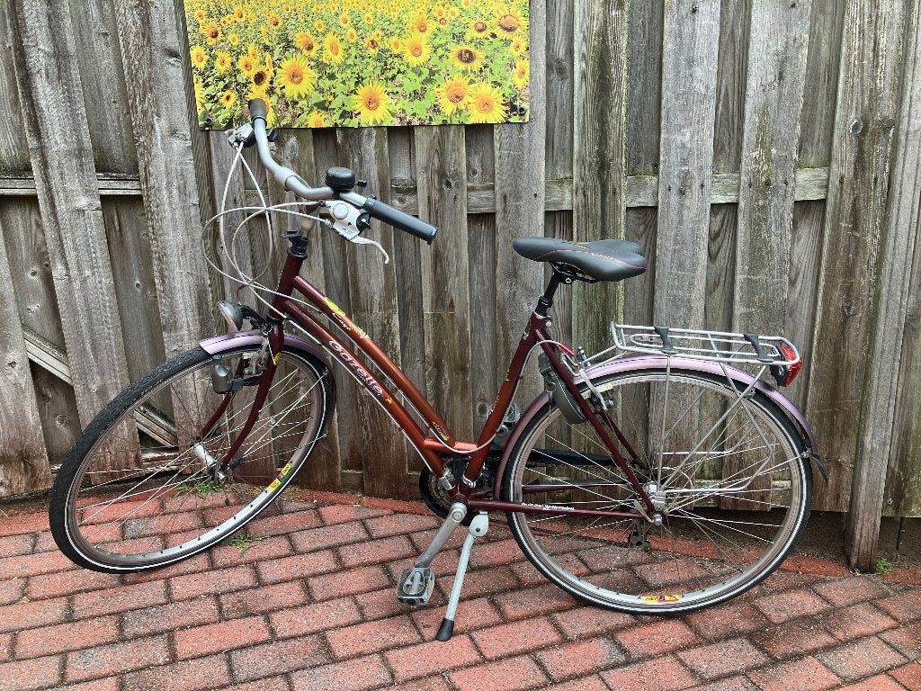 Gazelle Cayo hybride damesfiets, Fietsen en Brommers, Fietsen | Dames | Damesfietsen, Ophalen, Gebruikt, Velgrem, Versnellingen