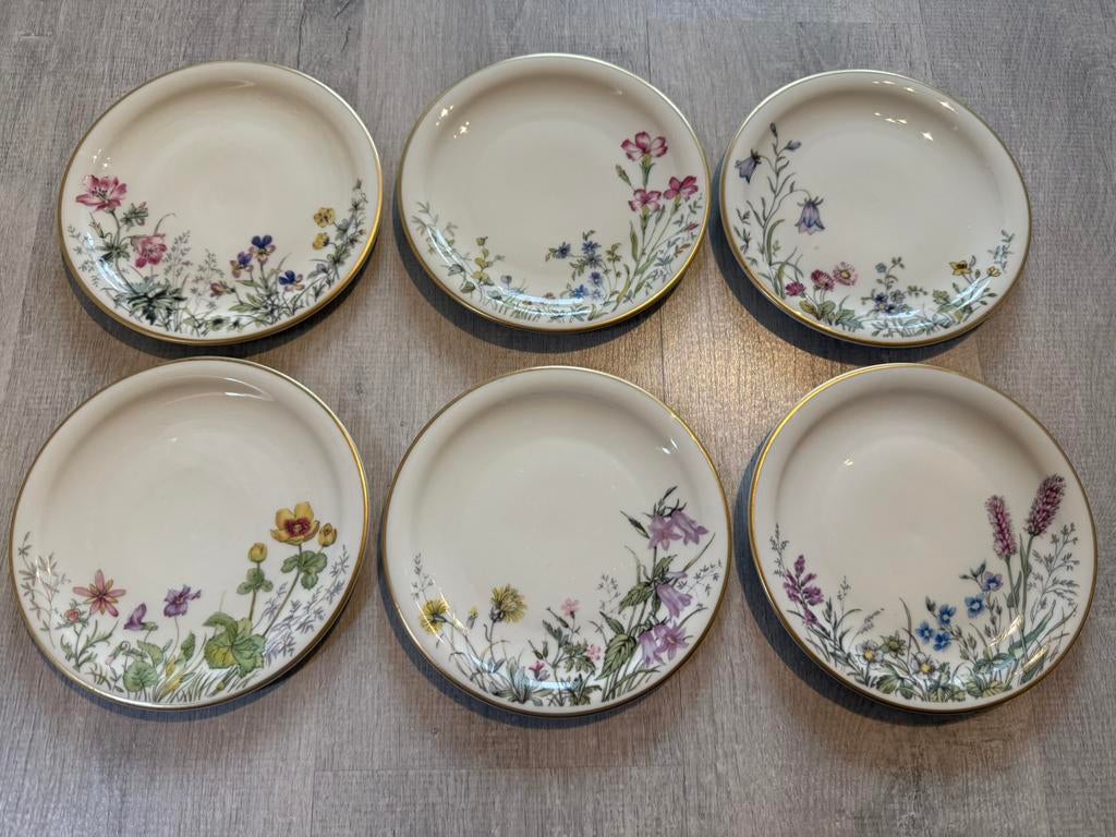Vintage Selb Bavaria Wiesengrund bordjes – tweede set van 6, Antiek en Kunst, Antiek | Servies compleet, Ophalen of Verzenden