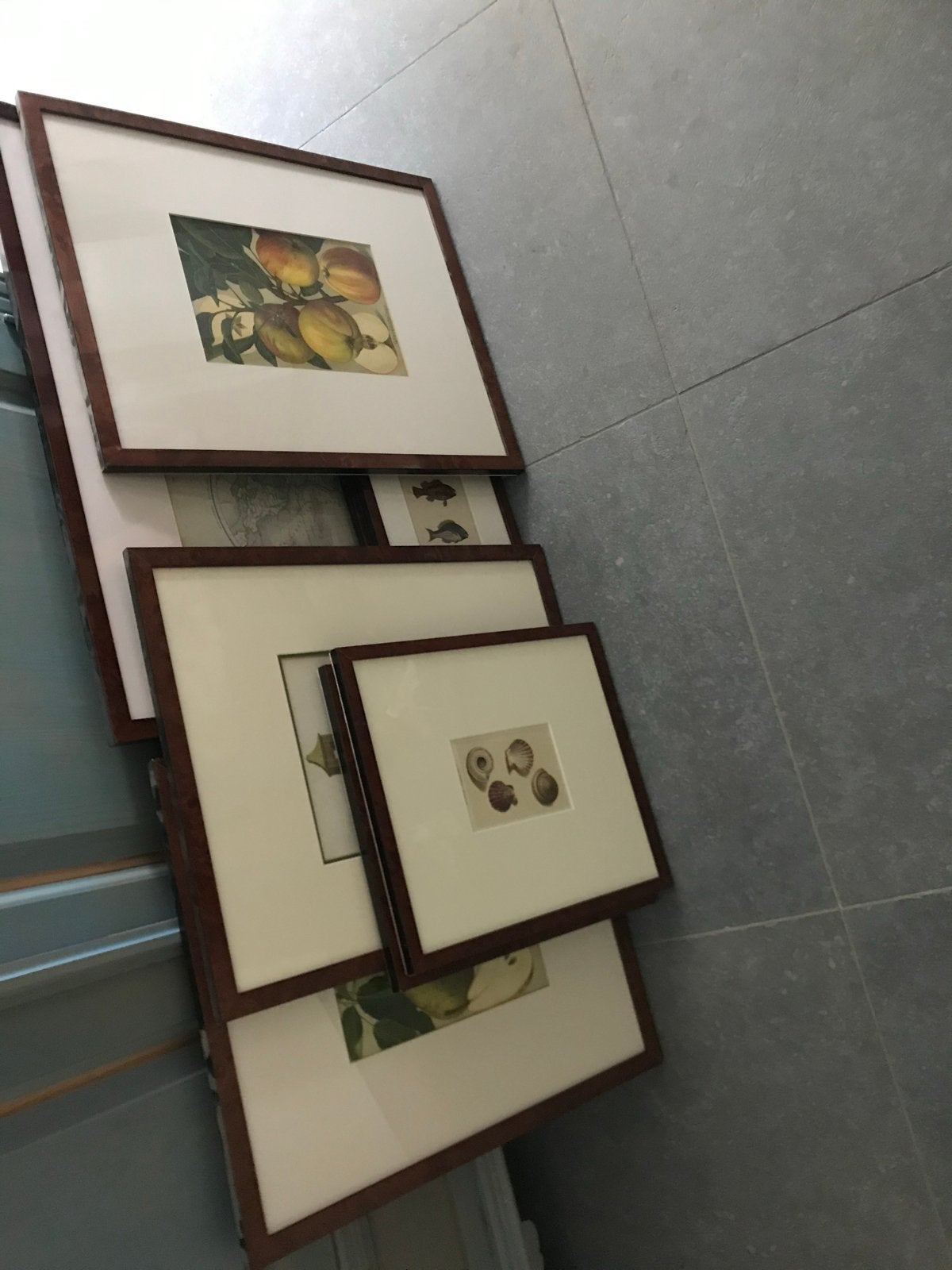 Set van 6 ingelijste botanische en natuurprints, Ophalen of Verzenden