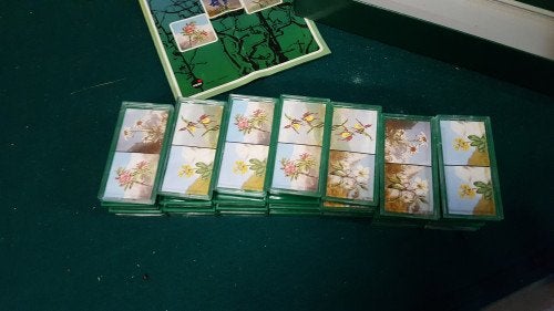 bergbloem domino, Ophalen of Verzenden, 'T Olde Gre-j, Info@toldegrej.nl, Endepoelstraat 20f Didam