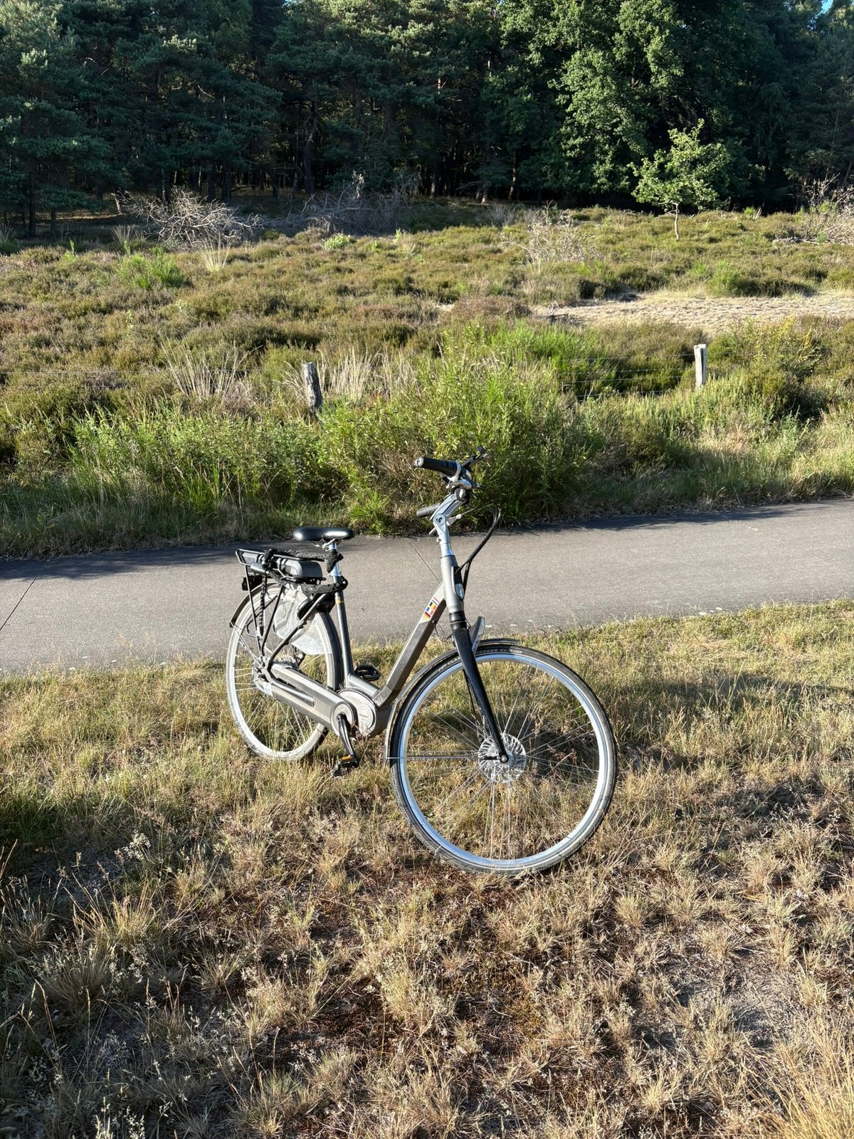 Sparta B2 elektrische fiets, 51 tot 55 cm, Ophalen, Gebruikt, Sparta
