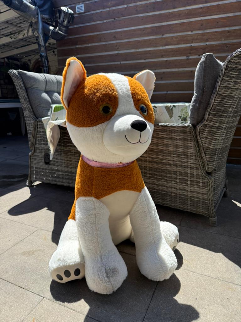 Knuffel hond bijna 1 meter, Ophalen of Verzenden, Zo goed als nieuw, Hond