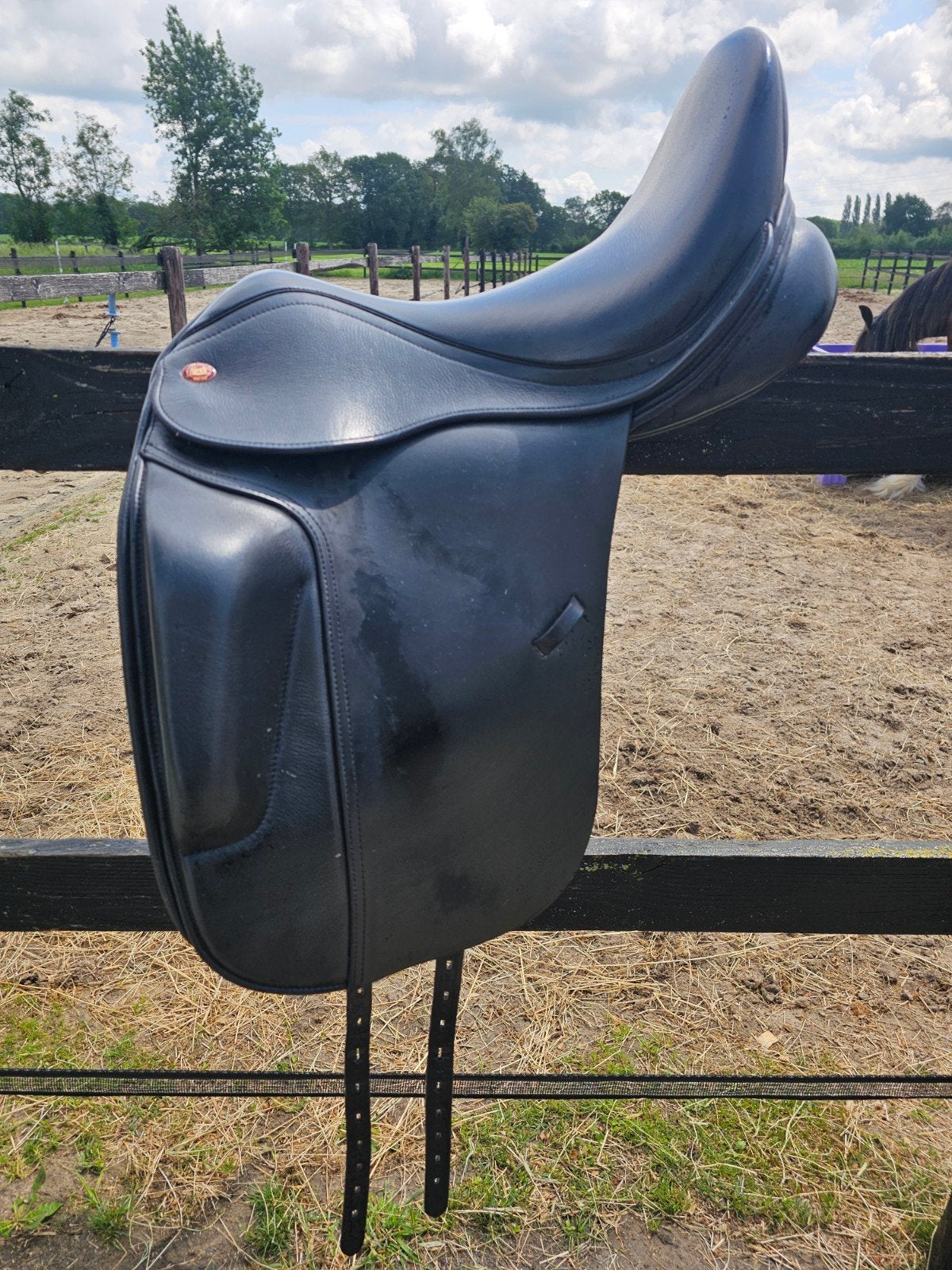 Kent en masters s line 17.5 inch, Ophalen, Dressuur