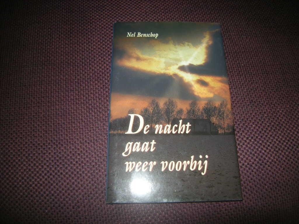 Benschop - De nacht gaat weer voorbij, Ophalen of Verzenden, Gelezen