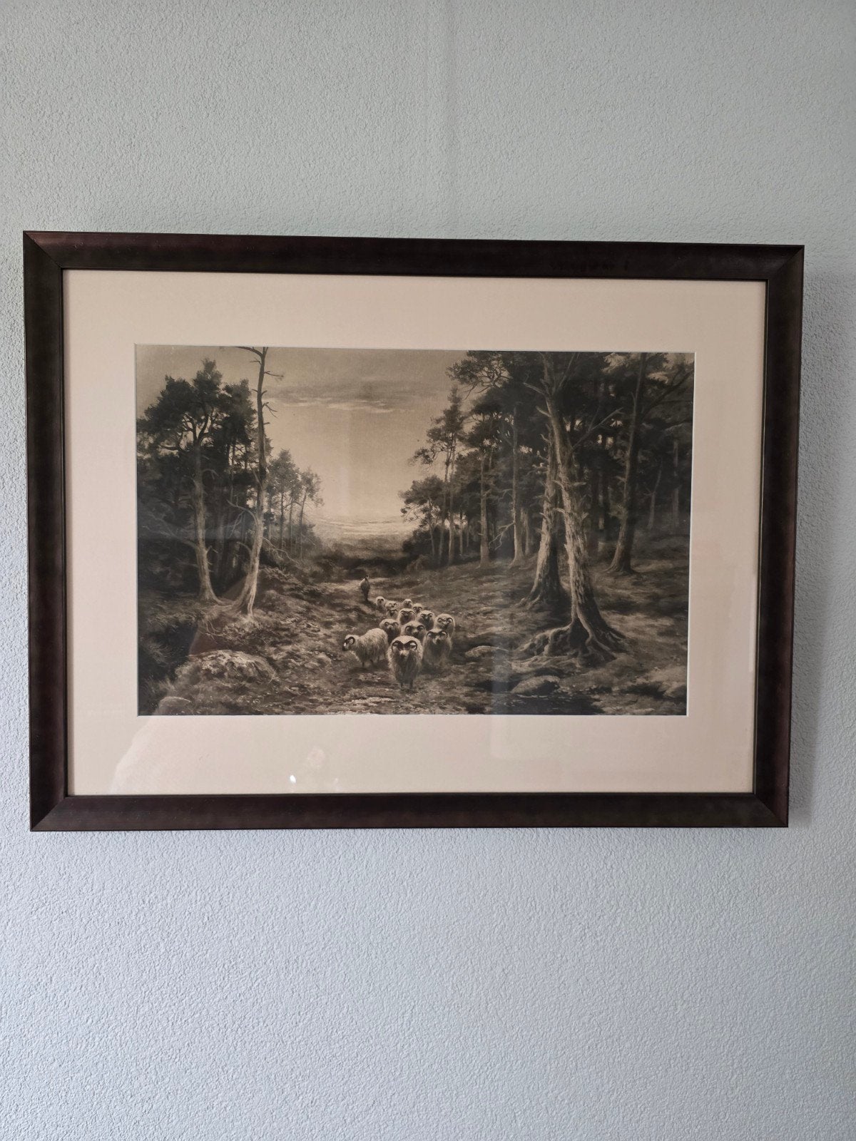 Antieke prent van schapen in bos, 70x54 cm, Antiek en Kunst, Ophalen of Verzenden, Prent, Ingelijst