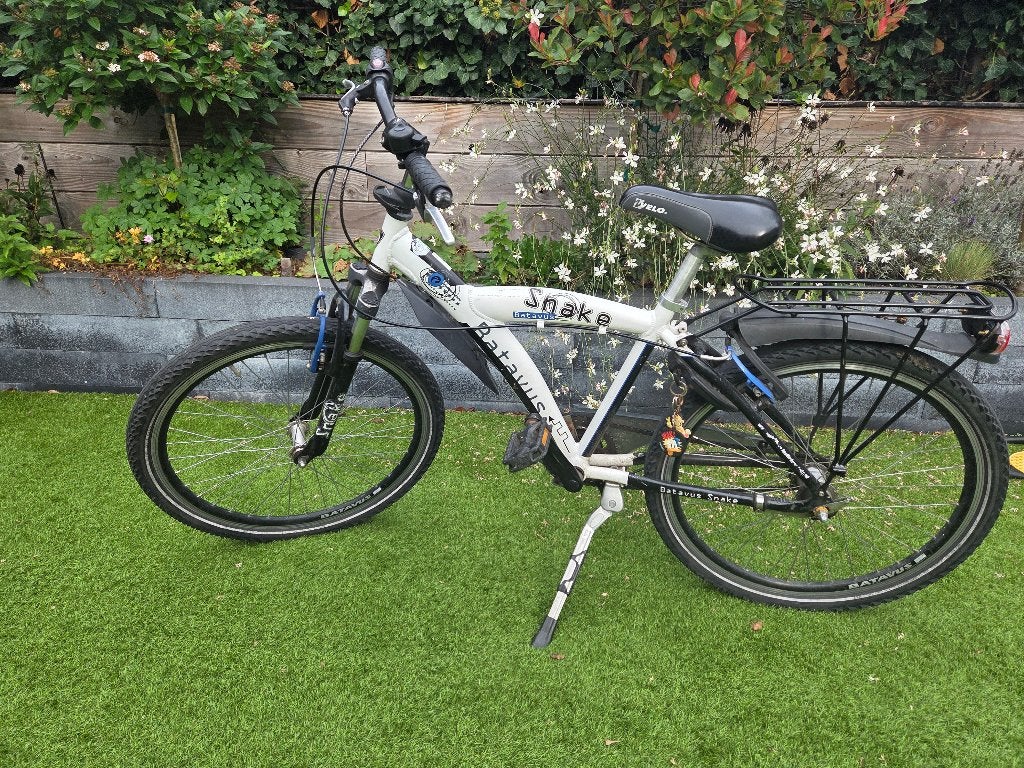 Batavus snake 24 inch, Fietsen en Brommers, Ophalen, Terugtraprem, Handrem, Batavus Snake