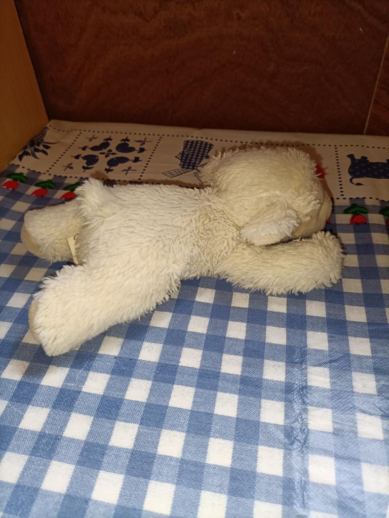 Schaap knuffeltje PIA Holland Schijndel liggend 20 cm, Ophalen of Verzenden, Zo goed als nieuw, Overige typen