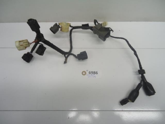 ZX10R 2004 - 2005 Kawasaki Kabelboom D1-29636