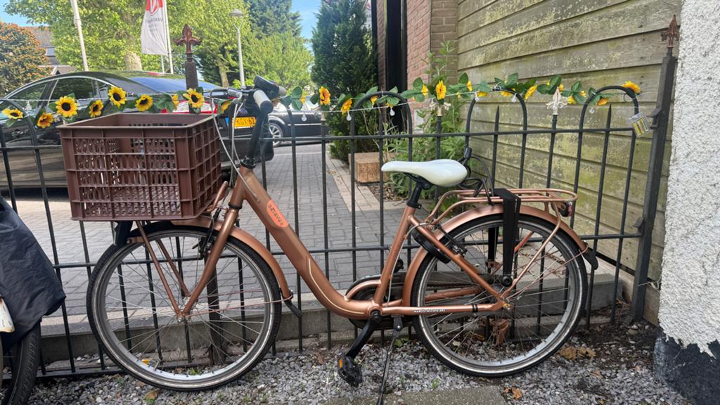 Sparta Pick-up Damesfiets met Mand - Zo goed als nieuw, Ophalen, Terugtraprem, Sparta, Versnellingen
