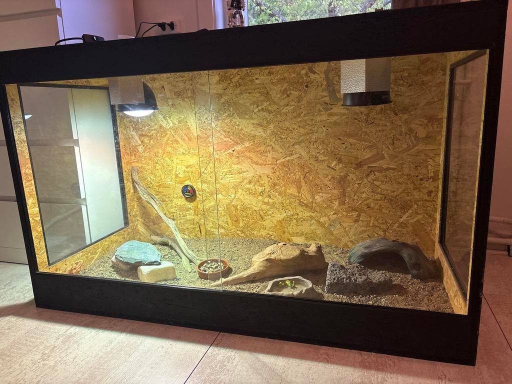 Terrarium 120x80x60, Ophalen, Zo goed als nieuw, Terrarium of Paludarium