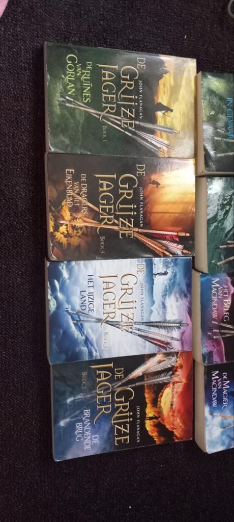 De Grijze Jager serie - Deel 1 t/m 6 en 8 t/m 12, Boeken, Ophalen of Verzenden, Gelezen, John Flanagan