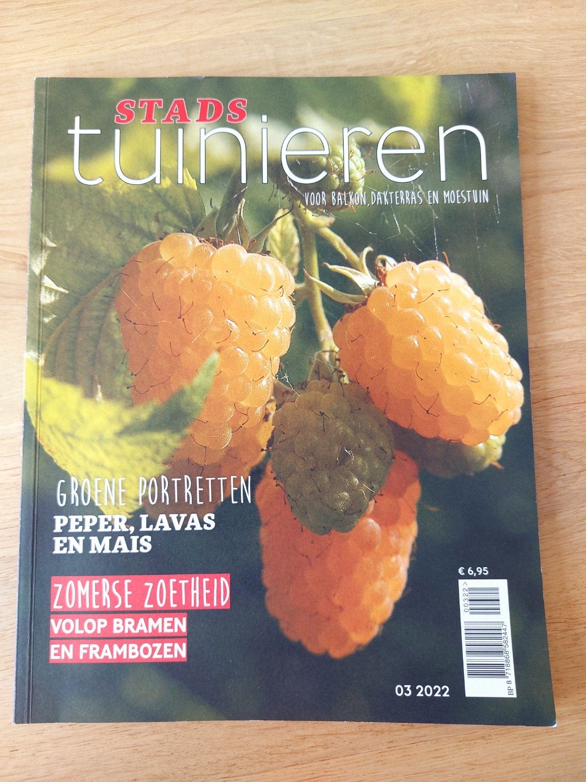 Stads Tuinieren Magazine - Editie 03 2022, Boeken, Tijdschriften en Kranten, Ophalen of Verzenden, Zo goed als nieuw, Overige typen