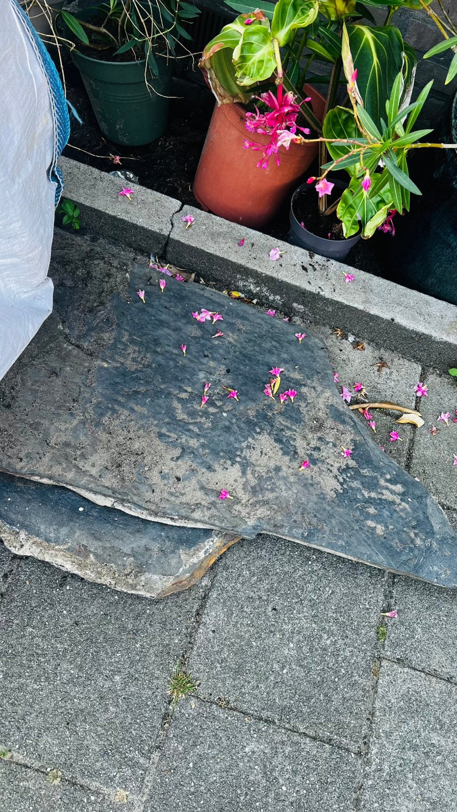 Gratis op te halen flagstones, Tuin en Terras, Ophalen, Gebruikt, Terrastegels, Natuursteen