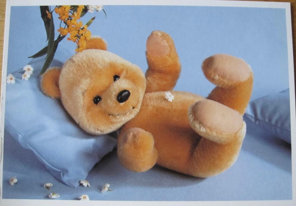 Teddybeer op kussen met madeliefjes - nieuwe ansichtkaart, Verzenden, 1980 tot heden, Ongelopen, Overige thema's