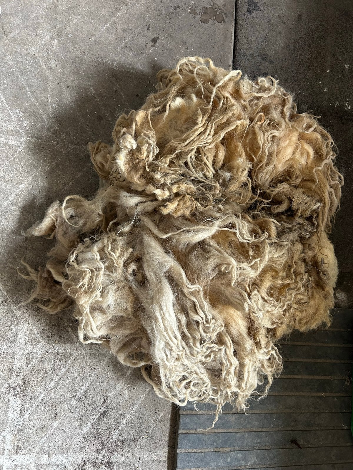 Racka vacht om te vilten - Mooi en uitdagend project, Hobby en Vrije tijd, Ophalen, Gebruikt, Los Vilt, Wolvilt
