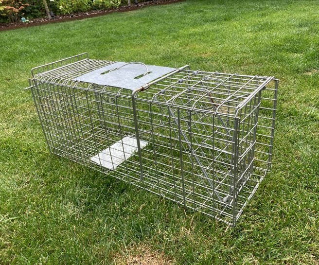 Vangkooi - knaagdieren - gegalvaniseerd, Kooi, Minder dan 75 cm, Zo goed als nieuw, Konijn