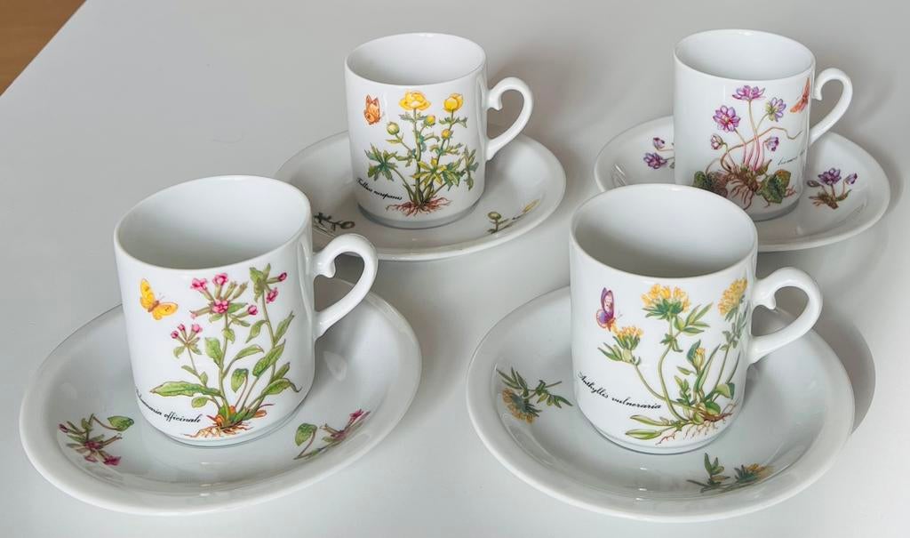 Kronester Bavaria Botanica 4 porseleinen kop+ schotel, Antiek en Kunst, Antiek | Servies compleet, Ophalen of Verzenden