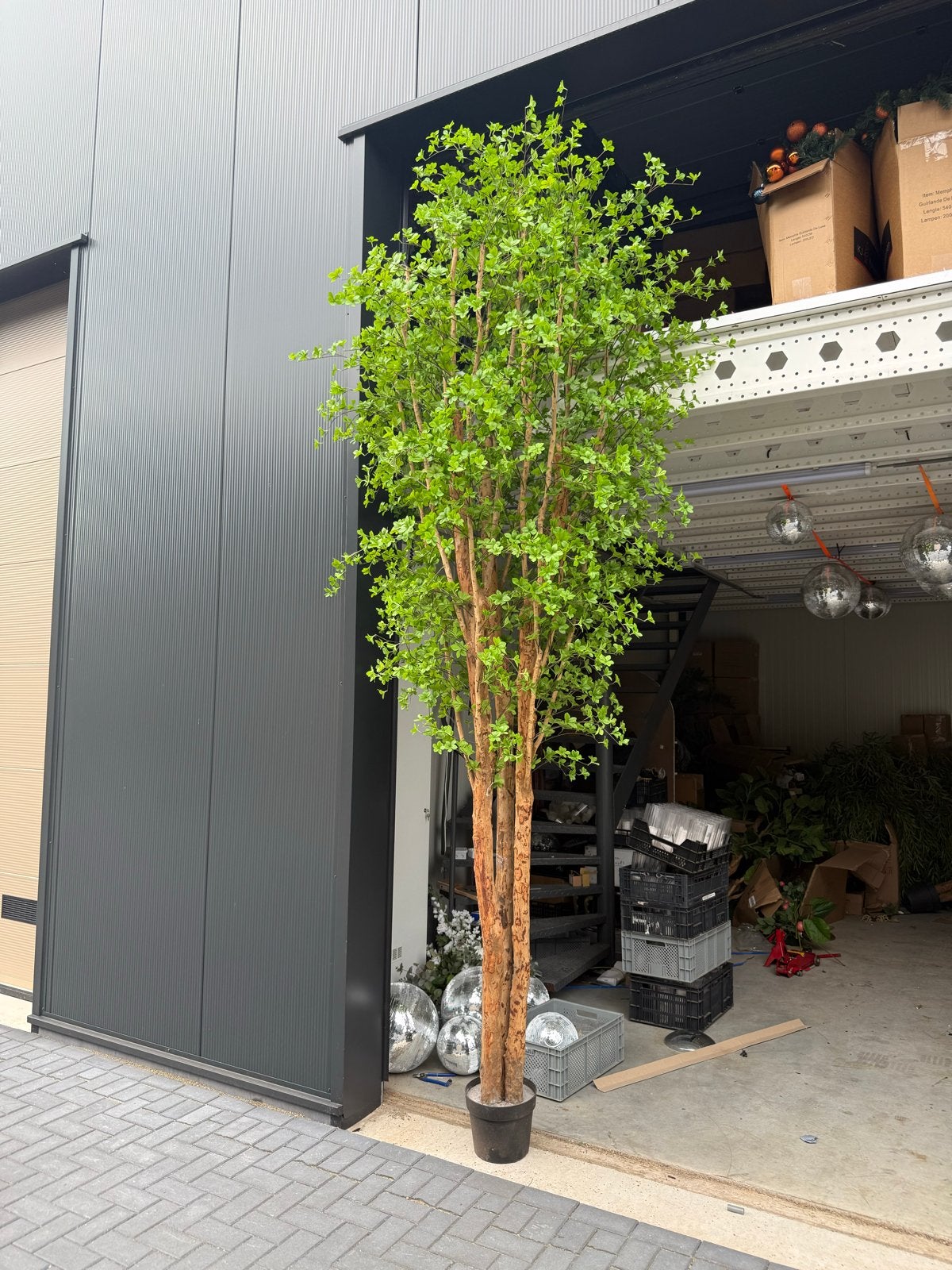 Handgemaakte Kunstbomen: Olijf, Ficus, Wilg, Acer (3-4m), Ophalen, Nieuw